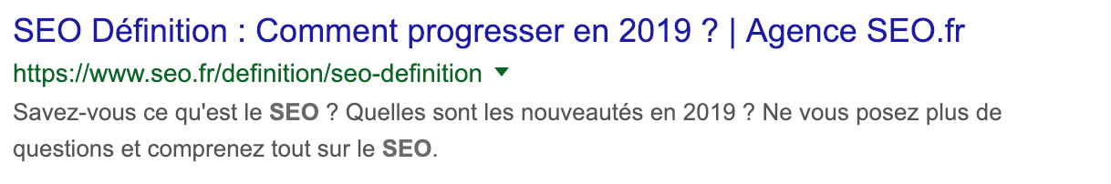 exemple de stratégie de marque avec seo.fr